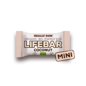 Mini Lifebar kokos 25g sirovi organski veganski bez glutena